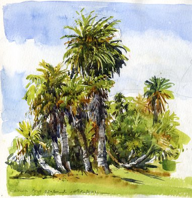 Palms at Royal Tasmanian Botanical Gardens