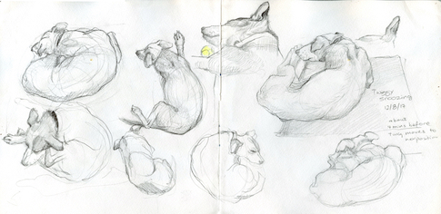 Random doggies pencil practise