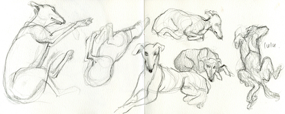 Random doggies pencil practise